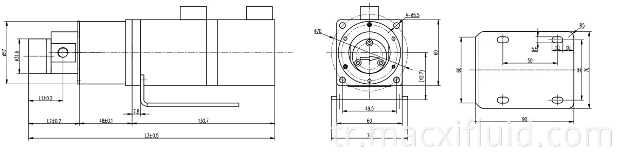 Tel Loy Anticoorrosion 220V Servo Motor Mikro Manyetik Tahrik Doz Dişli Pompası M0.90H57SM400W